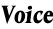 Voice